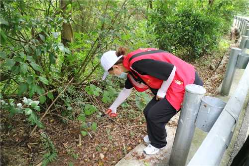 data-src=/f.vi?p=f01cf80c458156d25a4eb1a66425542078280bb04c1675759578524677ee4d12f77f312d940d6d84